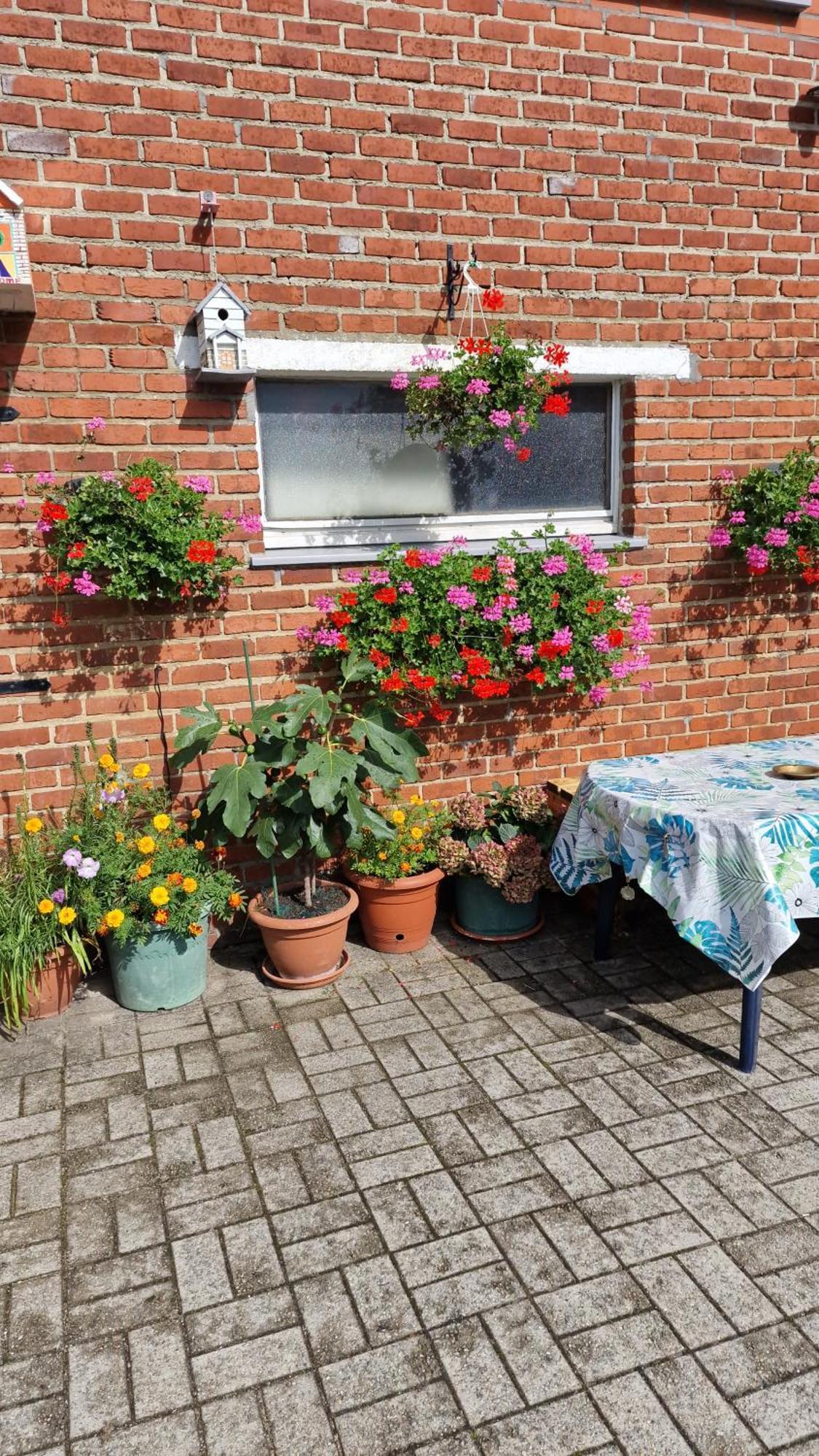 Mignon Apartment Soumagne Exterior foto